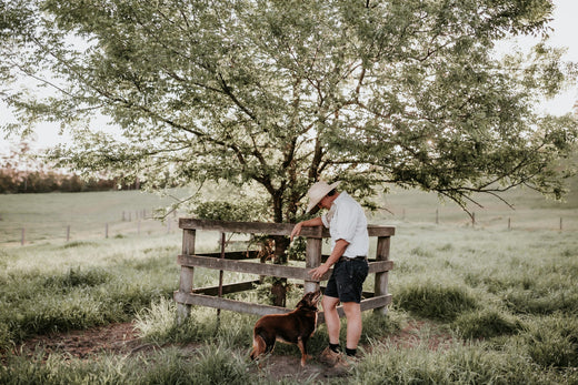 What is regenerative farming and why is it important?