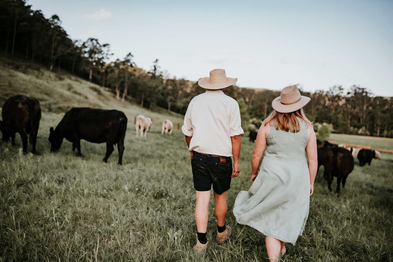 The Food Farm Grass Fed Beef