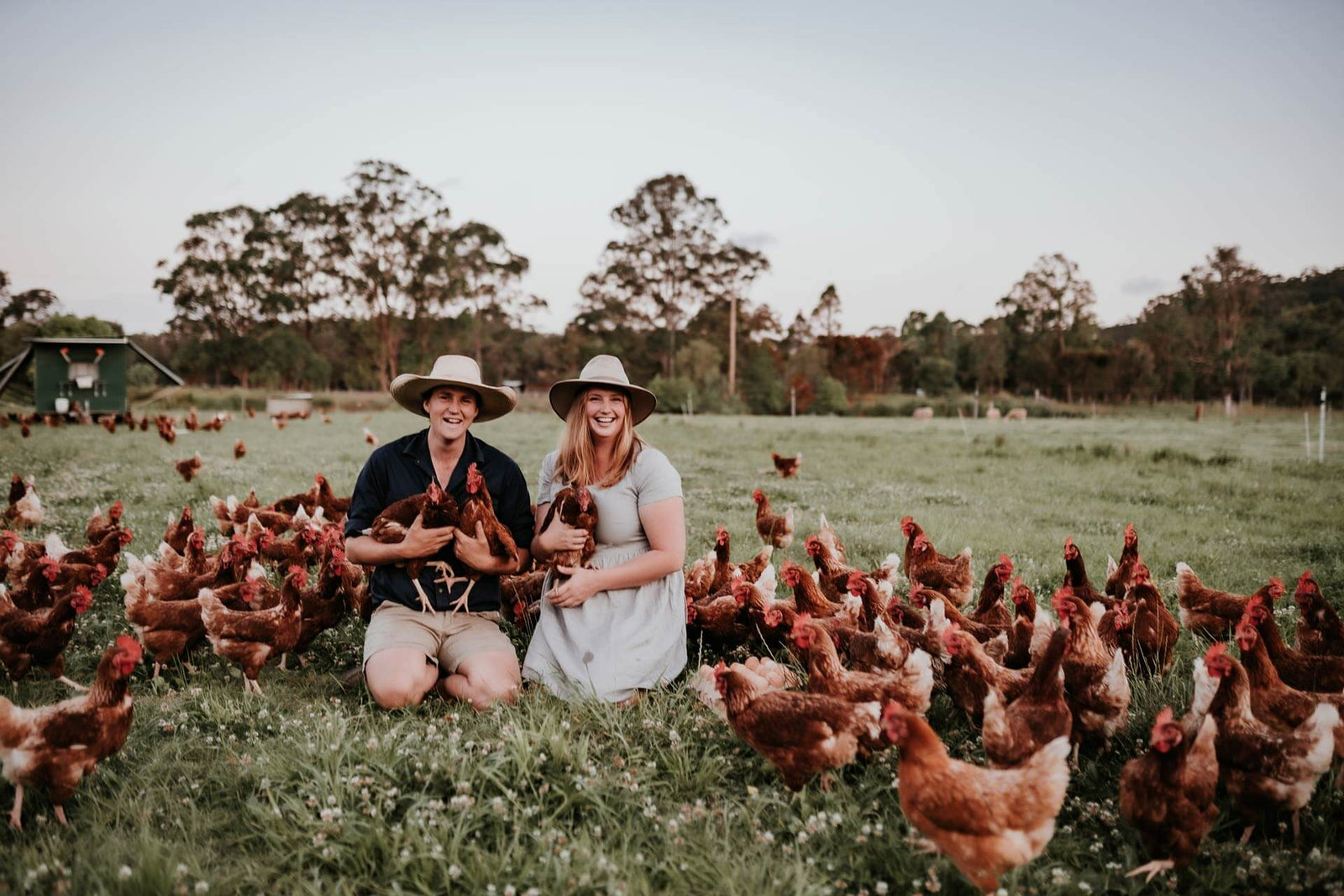 Our Story - The Food Farm